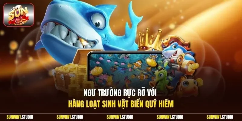 Ngư trường rực rỡ với hàng loạt sinh vật biển quý hiếm